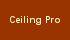 ceiling pro
